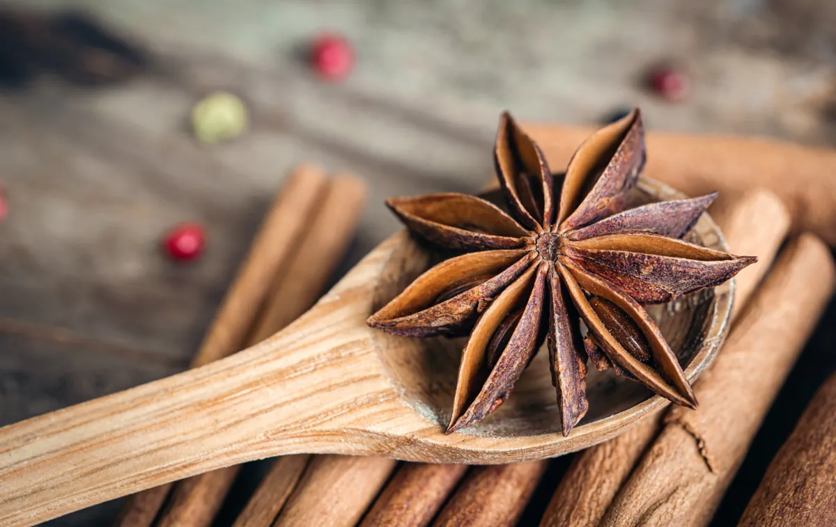 Une étoile de badiane (anis étoilé) posée dans une cuillère en bois, sur des bâtons de cannelle