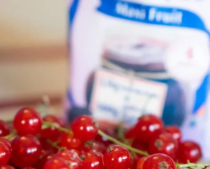 Confiture aux groseilles rouges — photo 2