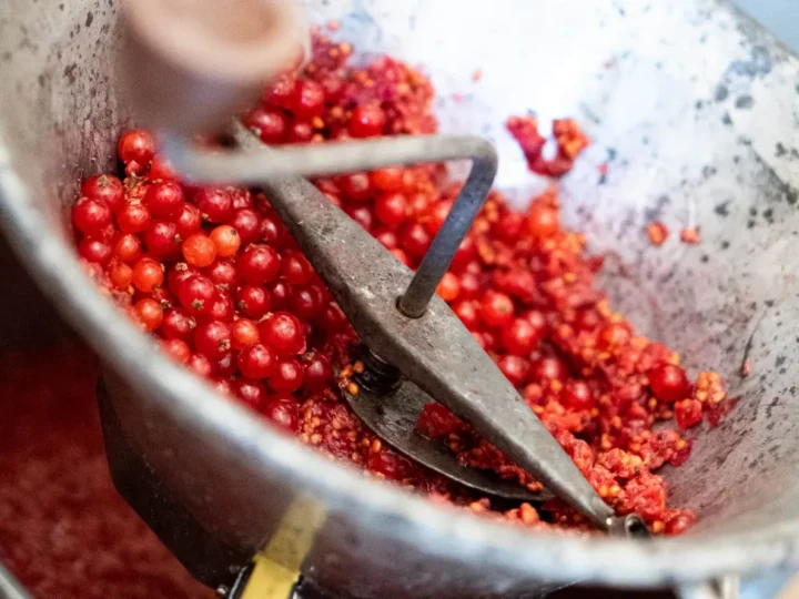 Confiture aux groseilles rouges — photo 3