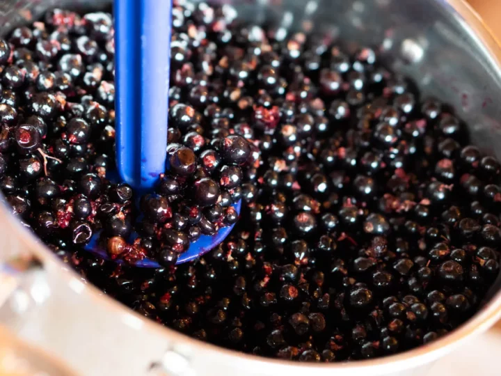 Crême de cassis pour un Kir Royal — photo 5