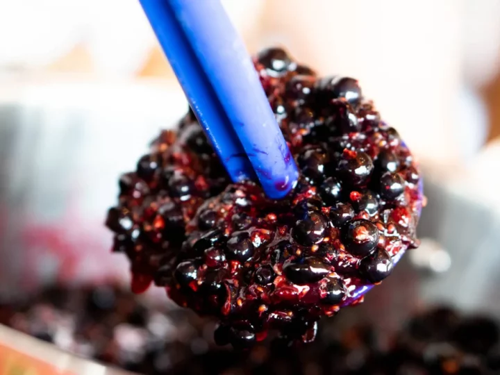Crême de cassis pour un Kir Royal — photo 6