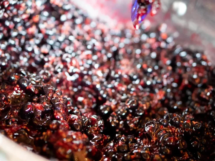 Crême de cassis pour un Kir Royal — photo 7