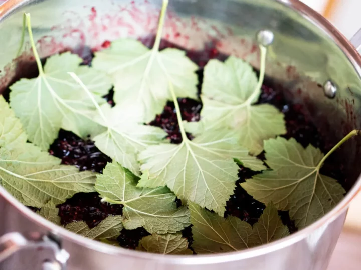Crême de cassis pour un Kir Royal — photo 8