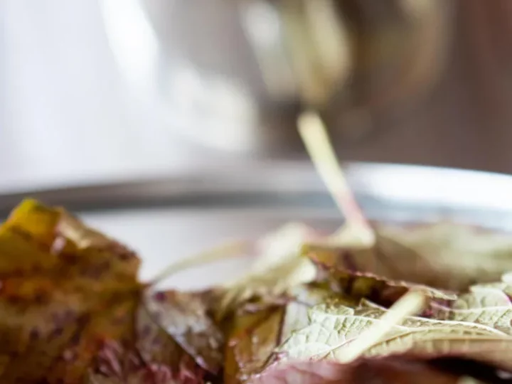 Crême de cassis pour un Kir Royal — photo 10
