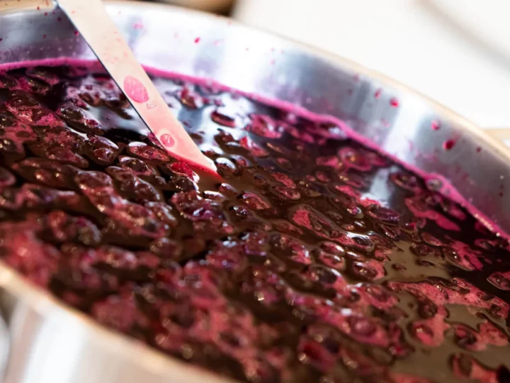 Crême de cassis pour un Kir Royal — photo 14