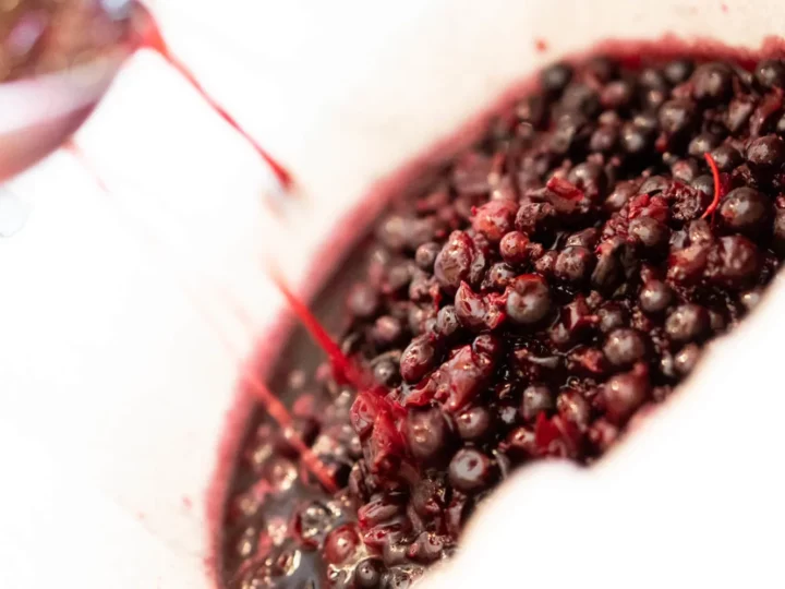 Crême de cassis pour un Kir Royal — photo 15