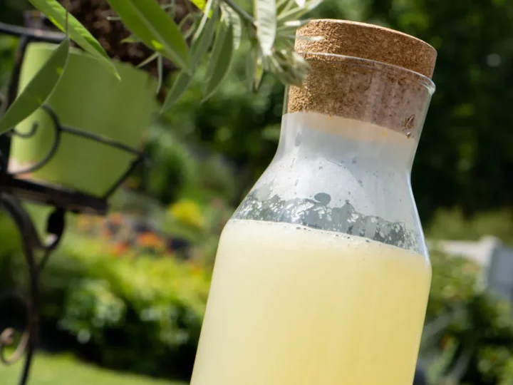 Eau déthox mélisse, menthe et citrons — photo 2