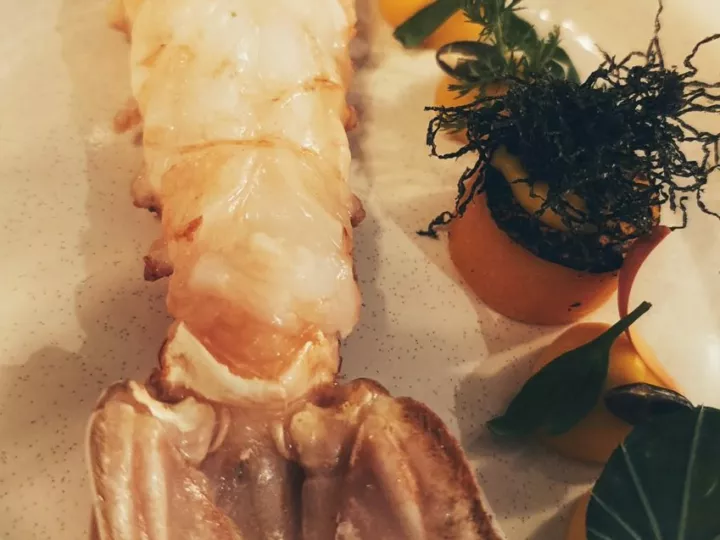 Queue de langoustine et carotte dressées dans une assiette creuse, L'Horizon (visite 2025)