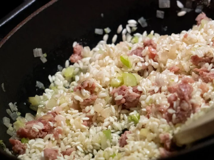 Risotto d'hiver au vin rouge, saucisse italienne, fenouil et fontine — photo 8