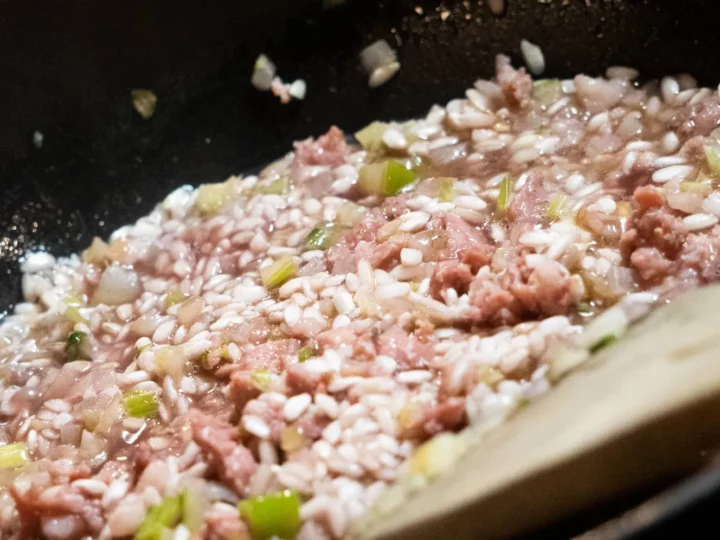 Risotto d'hiver au vin rouge, saucisse italienne, fenouil et fontine — photo 9