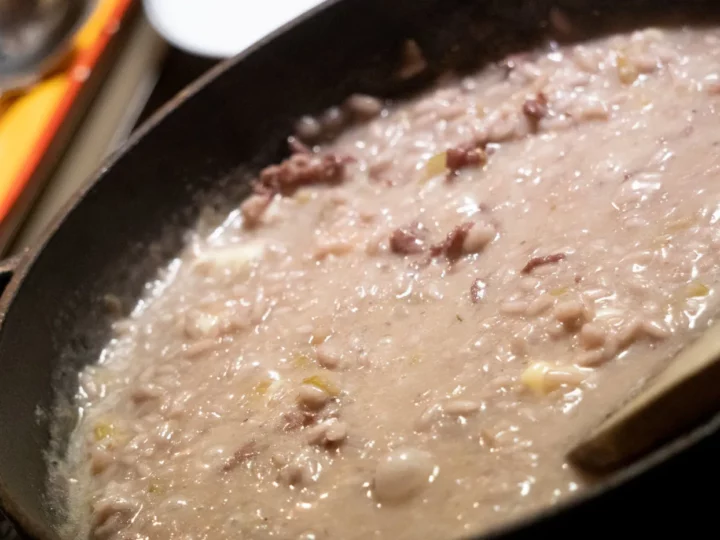 Risotto d'hiver au vin rouge, saucisse italienne, fenouil et fontine — photo 11