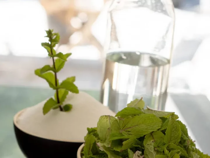 Sirop à la menthe du jardin — photo 3